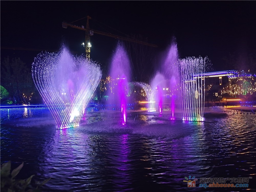 恒大中央公园夜景图 12/15