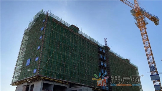 1月工程进度 14/40