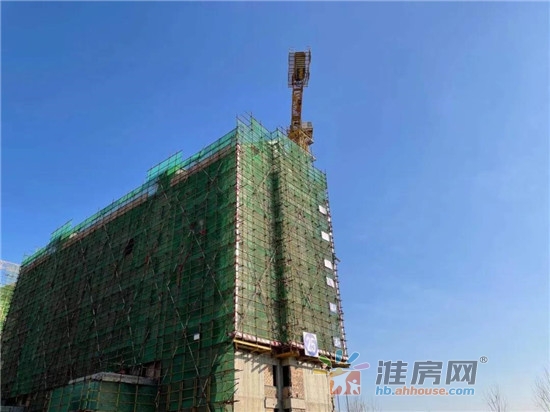 1月工程进度 17/40