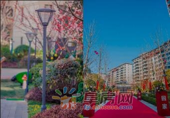 1618885363113426.jpg QQ截图20210420102444.jpg