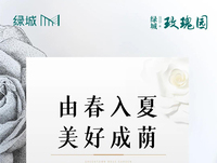 四月玫瑰家书|由春入夏，美好成荫