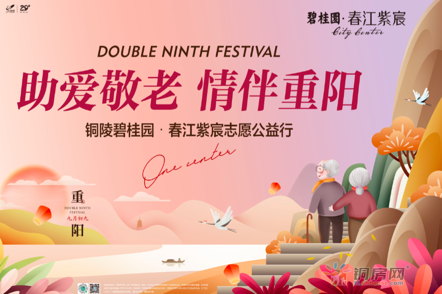 铜陵碧桂园·春江紫宸志愿公益行圆满落幕！