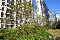 建投东方名府·玖著|归心之旅，美好已成，交付在即！