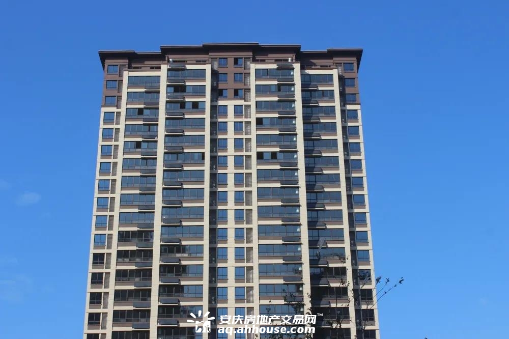 1637219829334253.jpg 1637219829334253.jpg