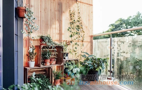 1638259763989834.jpg 5.jpg