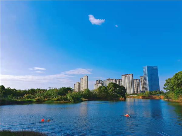 1634872027827605.png 1634872027827605.png