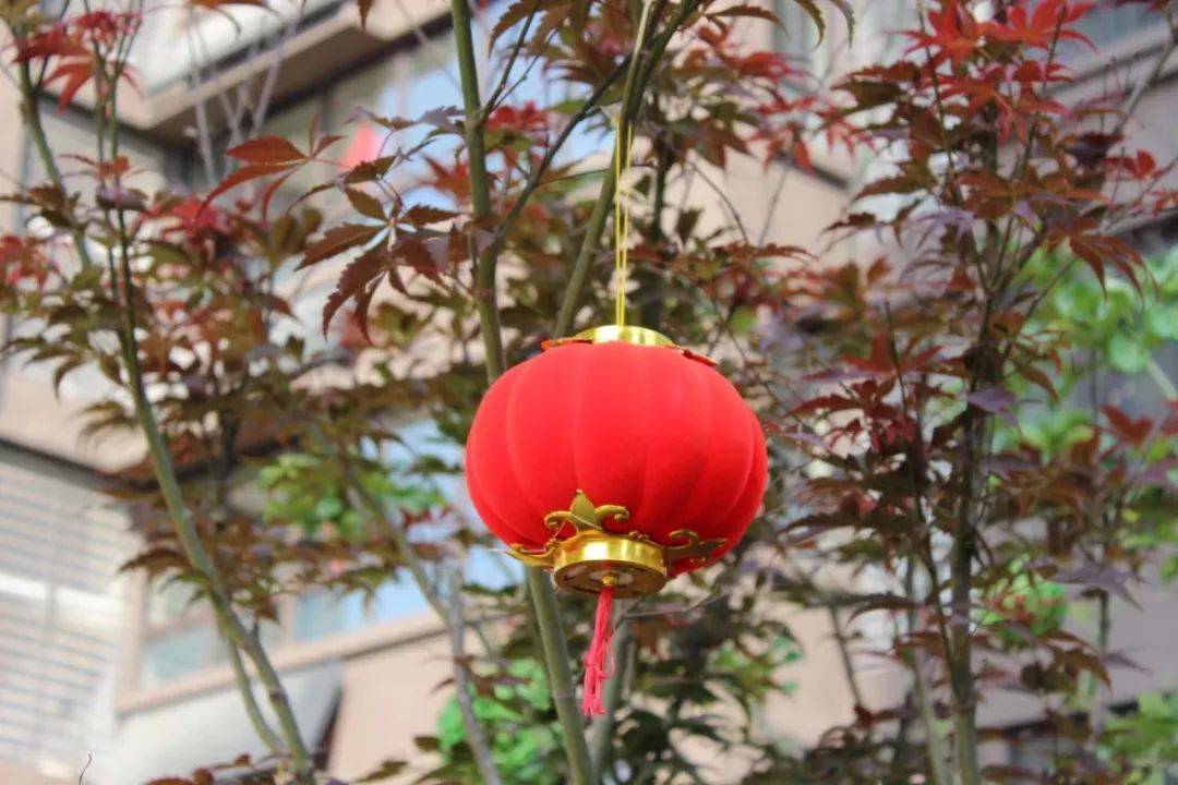 1636013191734004.jpg 1636013191734004.jpg