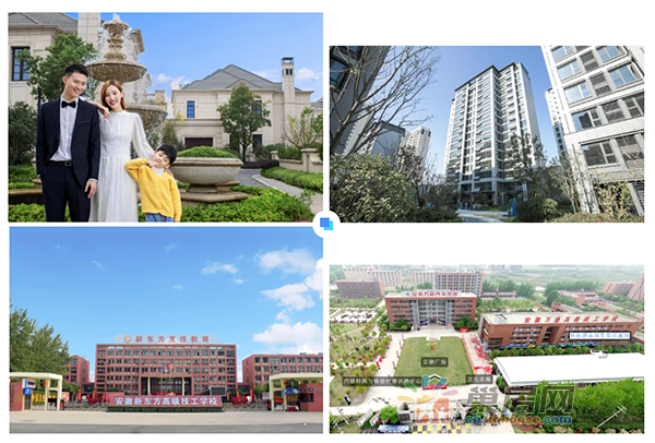 1641553322306212.png 01.png