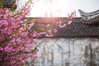 绿城·春风里|灵气山水归心合院