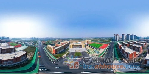 1649410518150147.jpg 7.jpg