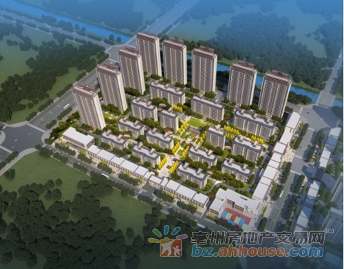 1649822465207391.jpg 3.jpg