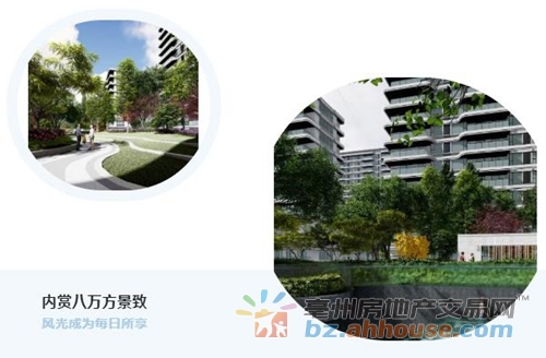 1650247972640173.jpg 4.jpg