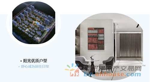 1650247989534324.jpg 5.jpg