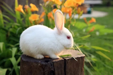 1651136178629544.jpg 4.jpg