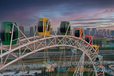 1651136229289009.jpg 9.jpg