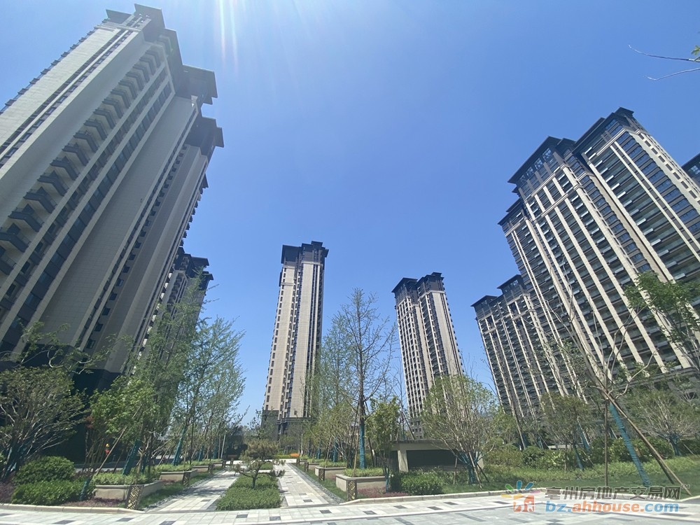 一区实景图 11/14