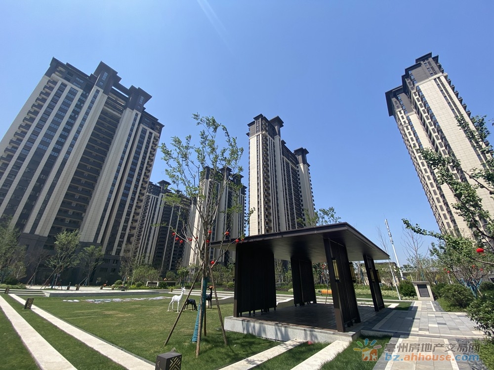 一区实景图 9/14