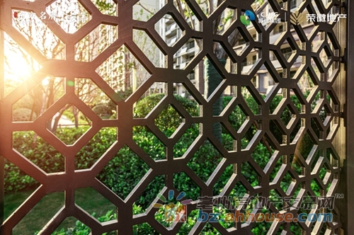 1664176208596039.jpg 8.jpg