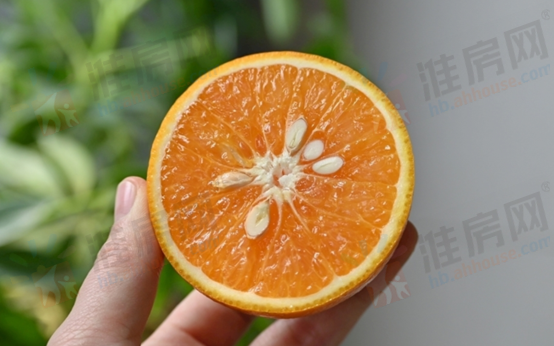 1669273054163857.png mmexport1669272580631.png