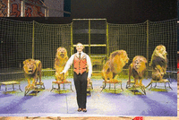 五一皇家马戏嘉年华 免费领票攻略