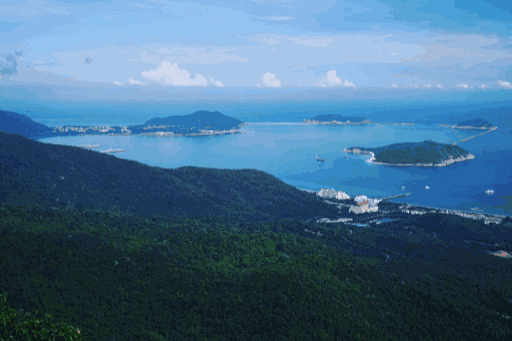 1689276726675724.gif 5.gif