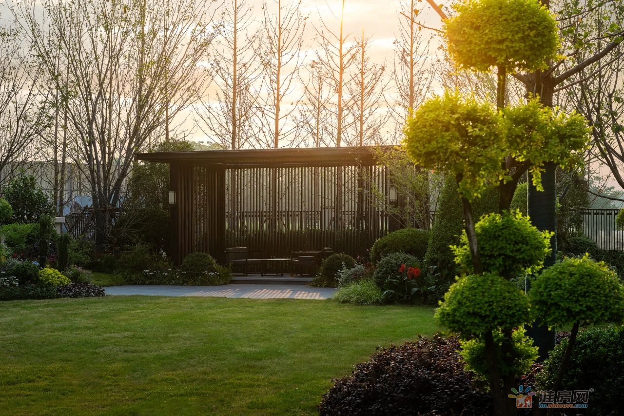 1677329502370715.jpg 1677329502370715.jpg