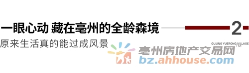 1758729306177861.jpg 8.jpg