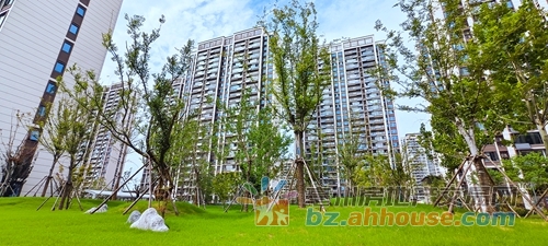 1758729331590348.jpg 10.jpg