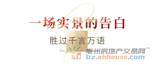 1760031202935567.jpg 5.jpg