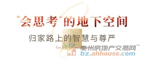 1760031850791045.jpg 12.jpg