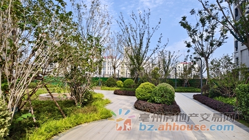 1760032702530428.jpg 20.jpg