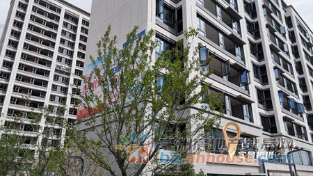 1766681862889726.jpg 图片2.jpg