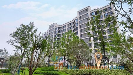 1766681897911032.jpg 图片4.jpg