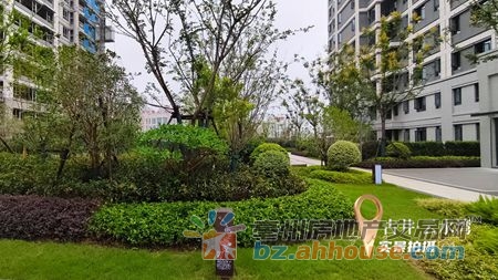 1766681995384086.jpg 图片9.jpg