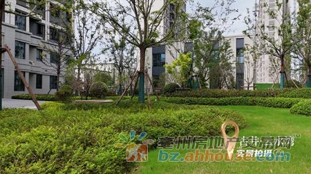 1766682037268264.jpg 图片11.jpg