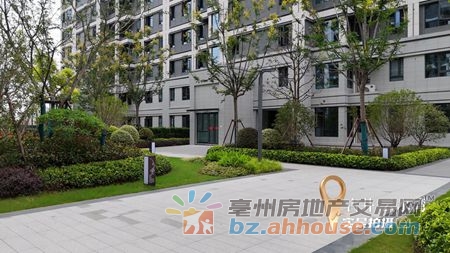 1766682058287802.jpg 图片12.jpg