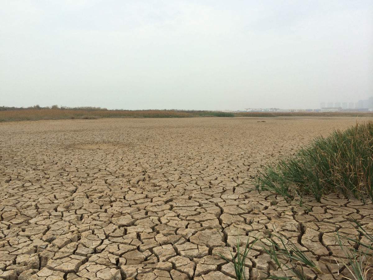 人民日报评农村土地承包再延长30年:土地稳 心才定